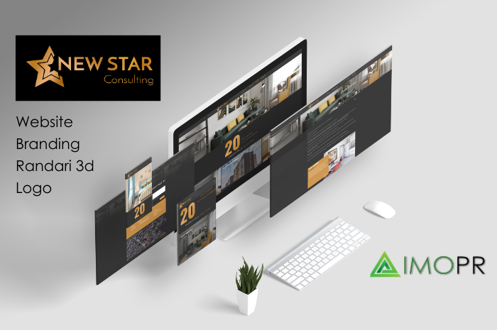 NEW STAR CONSULTING